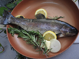 Rainbow Trout Head-On, Gutted